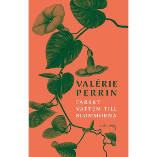 Valérie Perrin Färskt vatten till blommorna (pocket)