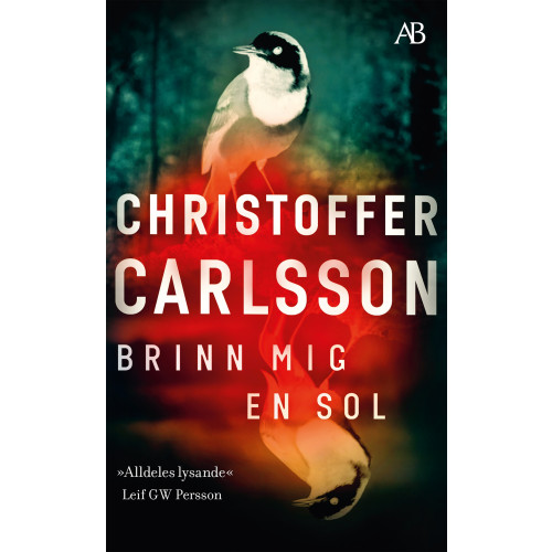 Christoffer Carlsson Brinn mig en sol (pocket)