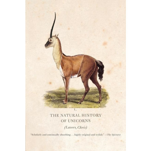 Chris Lavers Natural History Of Unicorns (Q) (häftad, eng)