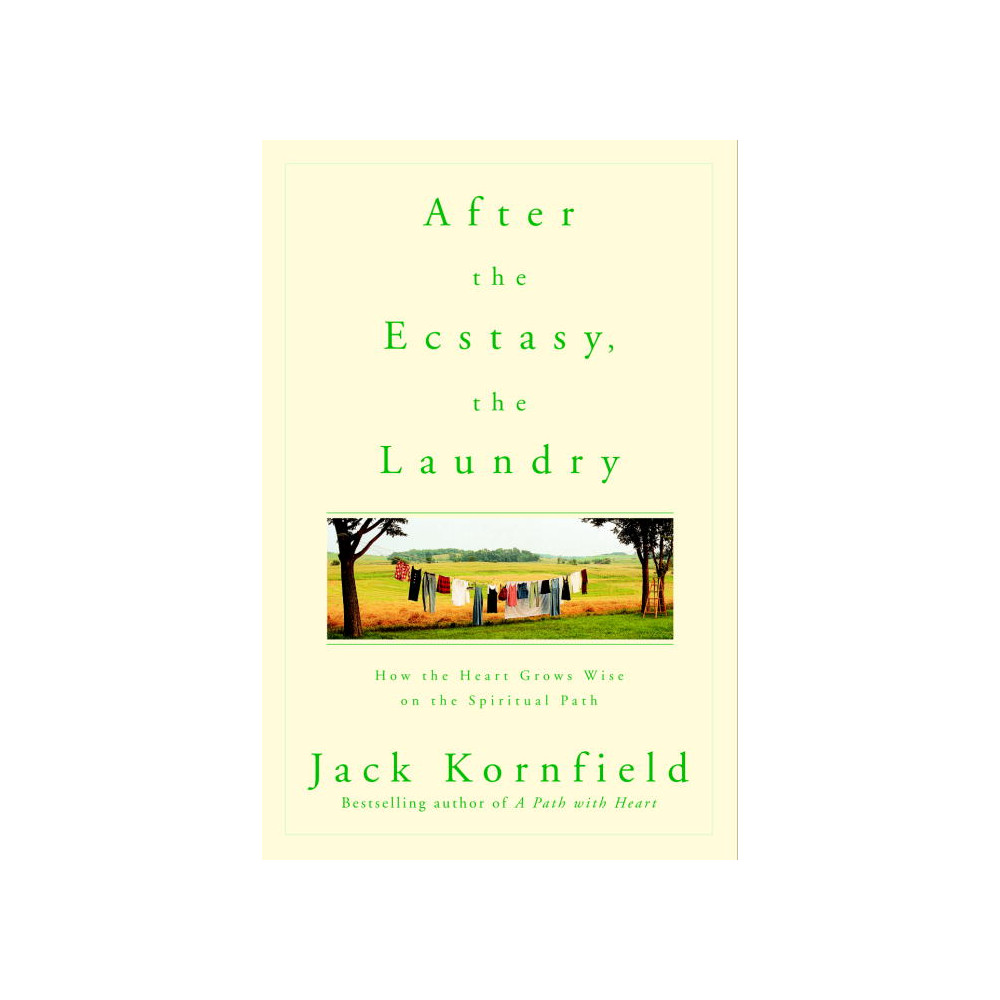 Produktbild för After the Ecstasy, the Laundry (pocket, eng)