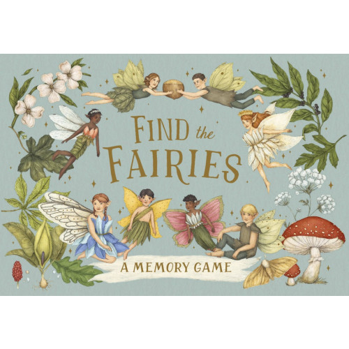 Emily Hawkins Find The Fairies : A Memory Game