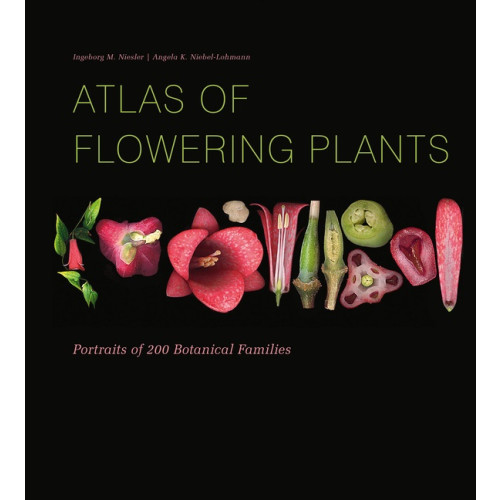 Ingeborg M Niesler Atlas Of Flowering Plants (inbunden, eng)