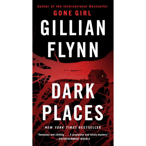Gillian Flynn Dark Places (häftad, eng)