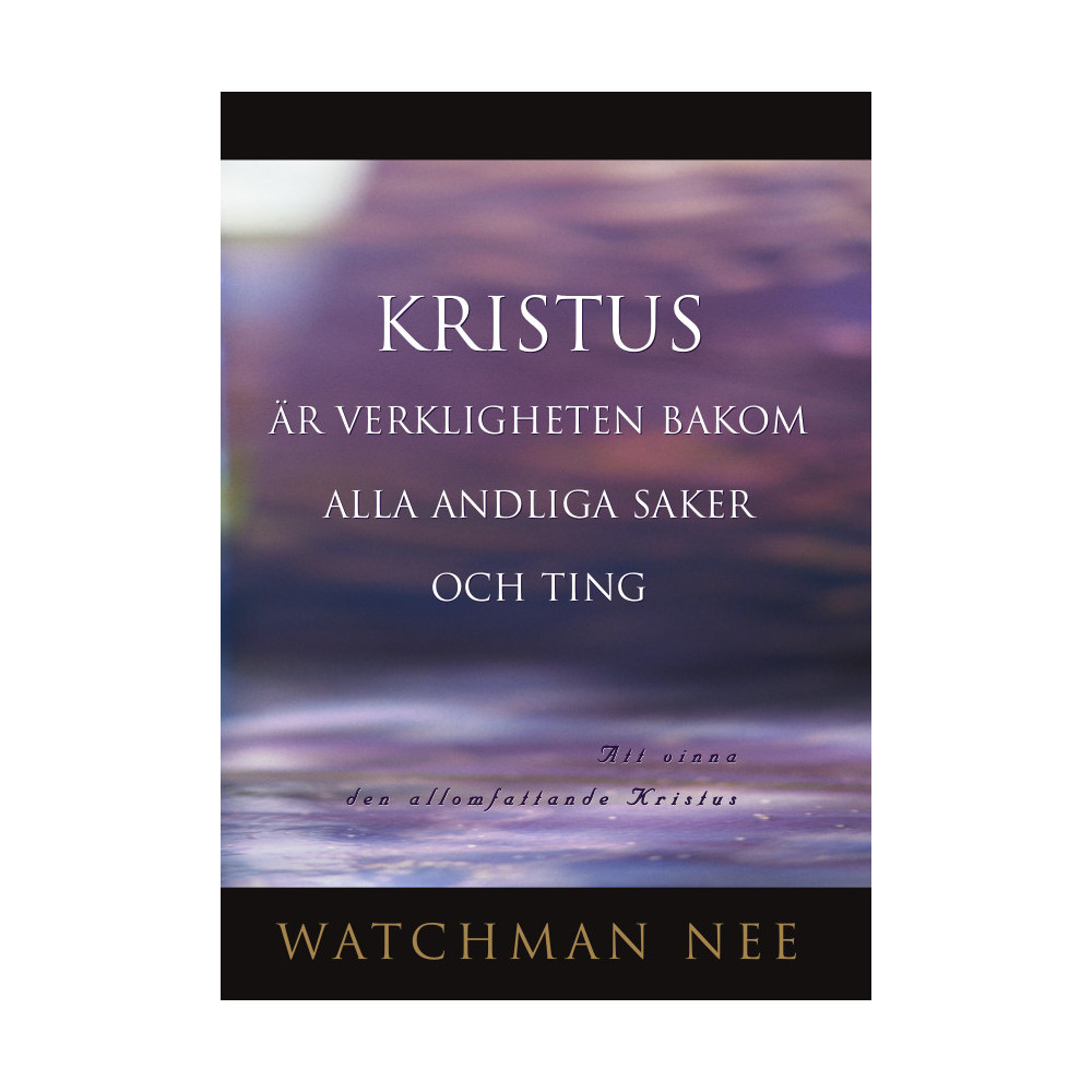 Produktbild för Kristus är verkligheten bakom alla andliga saker och ting (häftad)