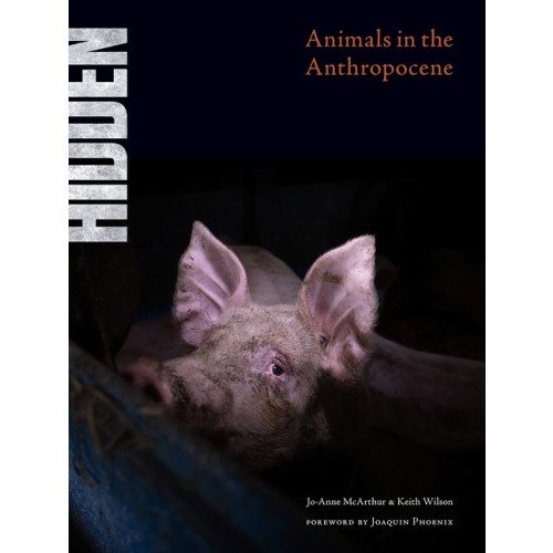 Edited by Jo-Anne McArthur and Keith Wilson Hidden : Animals in the Anthropocene (inbunden, eng)