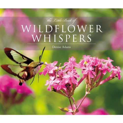 Adams Denise The Little Book of Wildflower Whispers (inbunden, eng)