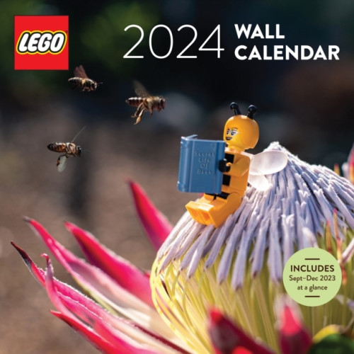 LEGO 2024 Wall Cal: LEGO (bok, kartonnage, eng)