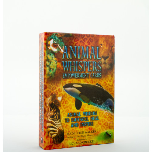 Madeleine Walker Animal Whispers Empowerment Cards: Animal Wisdom to Empower, Heal and Inspire