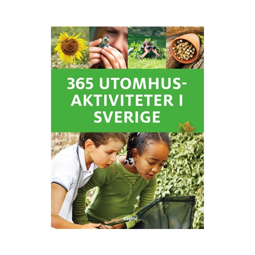 Jamie Ambrose 365 utomhusaktiviteter i Sverige (bok, flexband)