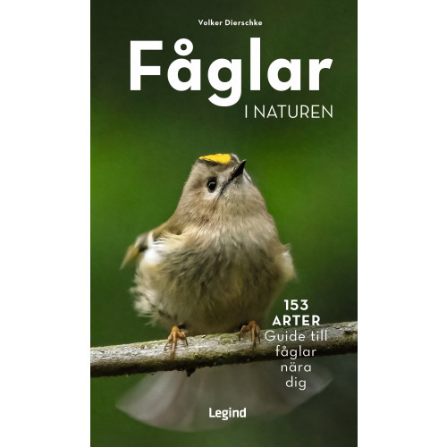 Volker Dierschke Fåglar i naturen : 153 arter, guide till fåglar nära dig (bok, danskt band)