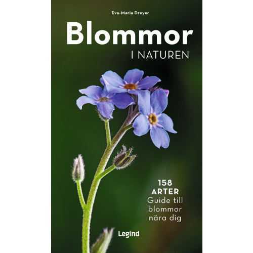 Eva-Maria Dreyer Blommor i naturen : 158 arter, guide til blommor nära dig (bok, danskt band)