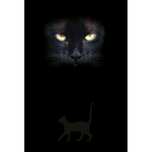 Lo Scarabeo Cat's Eyes (bok, kartonnage, eng)