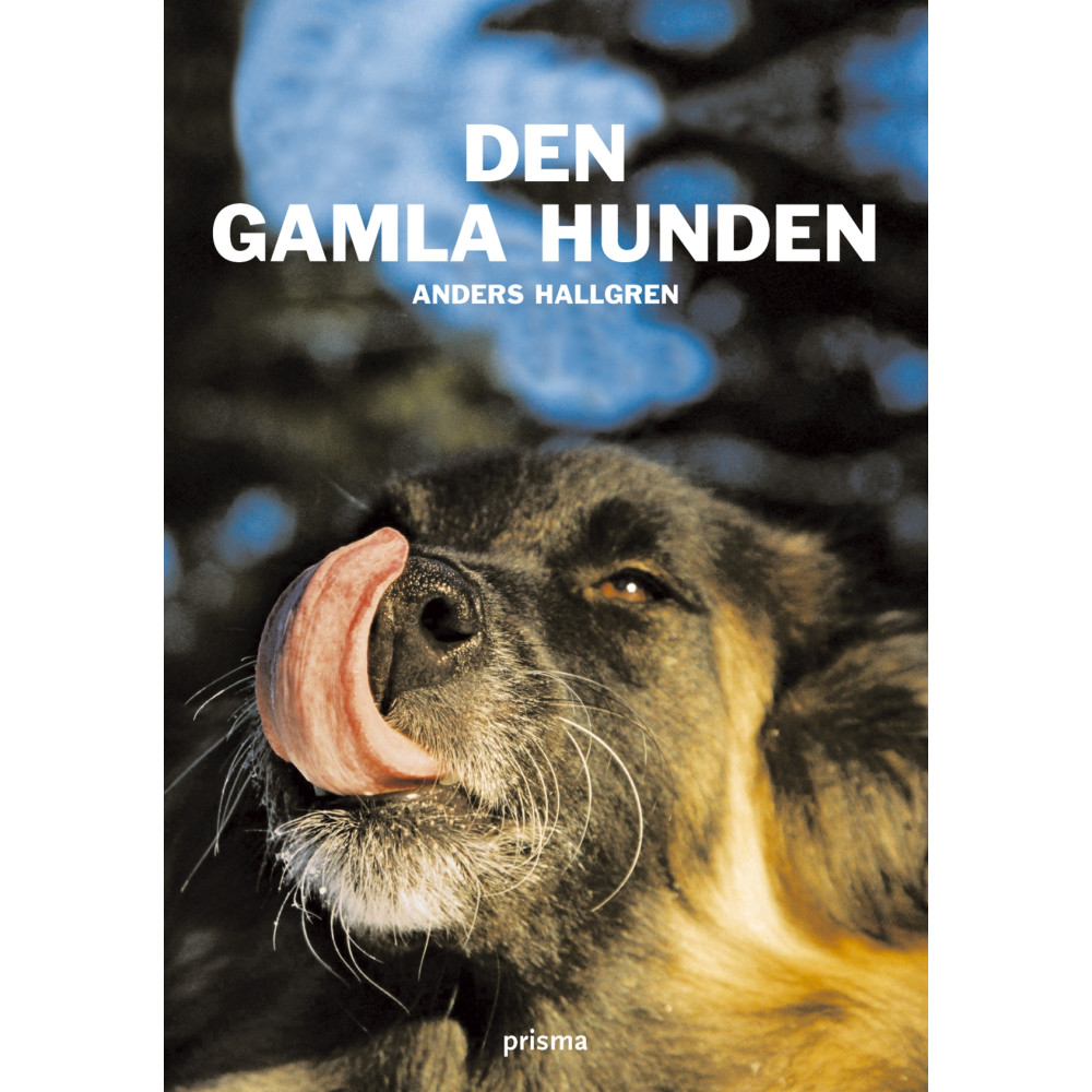 Produktbild för Den gamla hunden : om den äldre hundens fysiska och psykiska välbefinnande (bok, kartonnage)