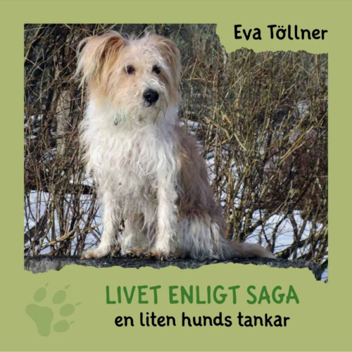 Eva Töllner Livet enligt Saga : en liten hunds tankar (inbunden)