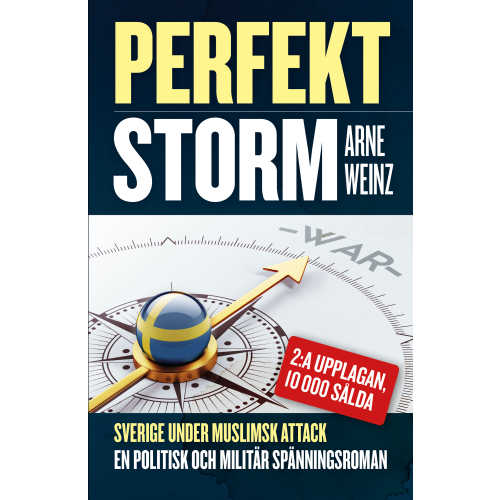 Arne Weinz Perfekt storm (bok, danskt band)