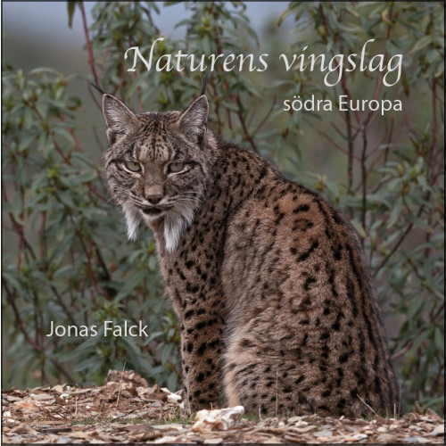 Jonas Falck Naturens vingslag : södra Europa (inbunden)