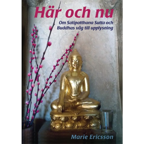 Marie Ericsson Här och nu : om Satipatthana Sutta och Buddhas väg till upplysning (häftad)