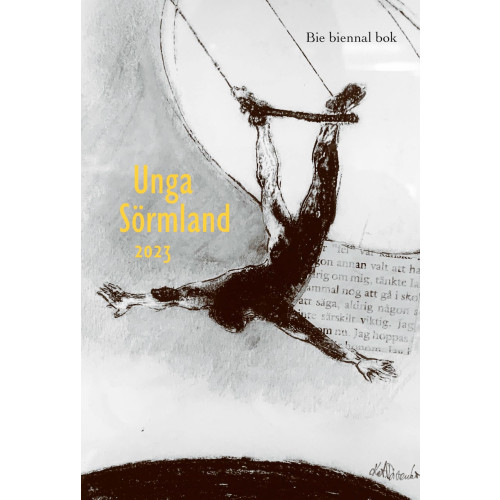 Bie biennal bok Unga Sörmland 2023 (bok, danskt band)