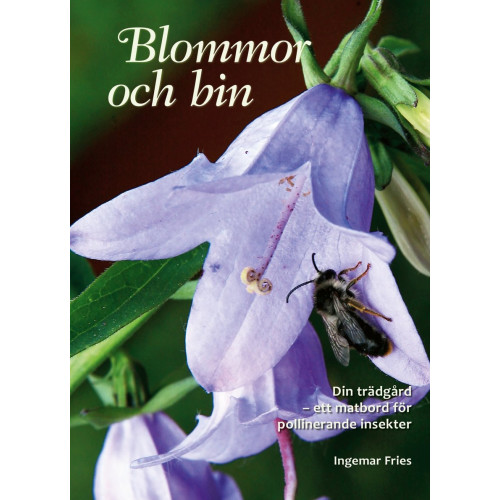 Ingemar Fries Blommor och bin : din trädgård - ett matbord för pollinerande insekter (inbunden)