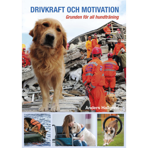 Anders Hallgren Drivkraft och motivation : grunden för all hundträning (inbunden)