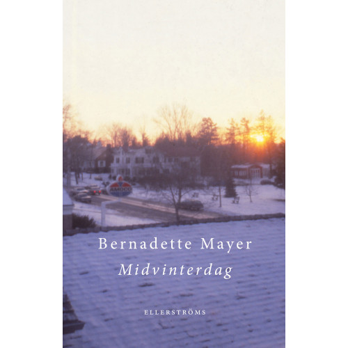 Bernadette Mayer Midvinterdag (bok, danskt band)