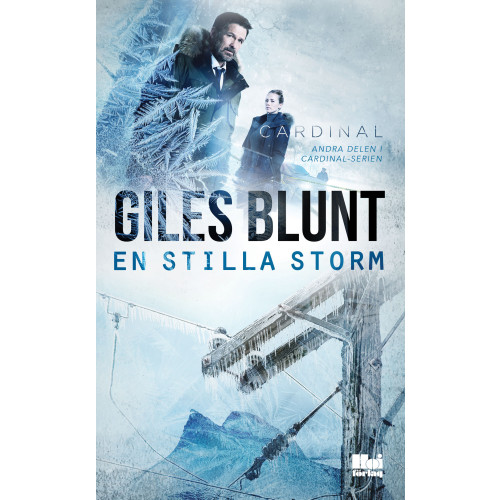 Giles Blunt En stilla storm (pocket)