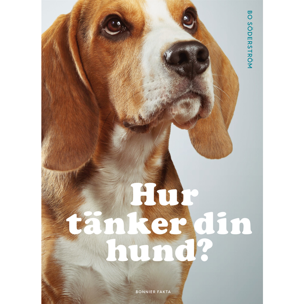 Produktbild för Hur tänker din hund? (inbunden)