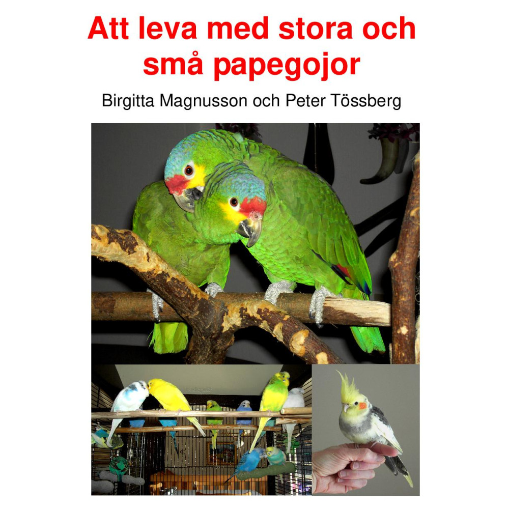 Produktbild för Att leva med stora och små papegojor (inbunden)