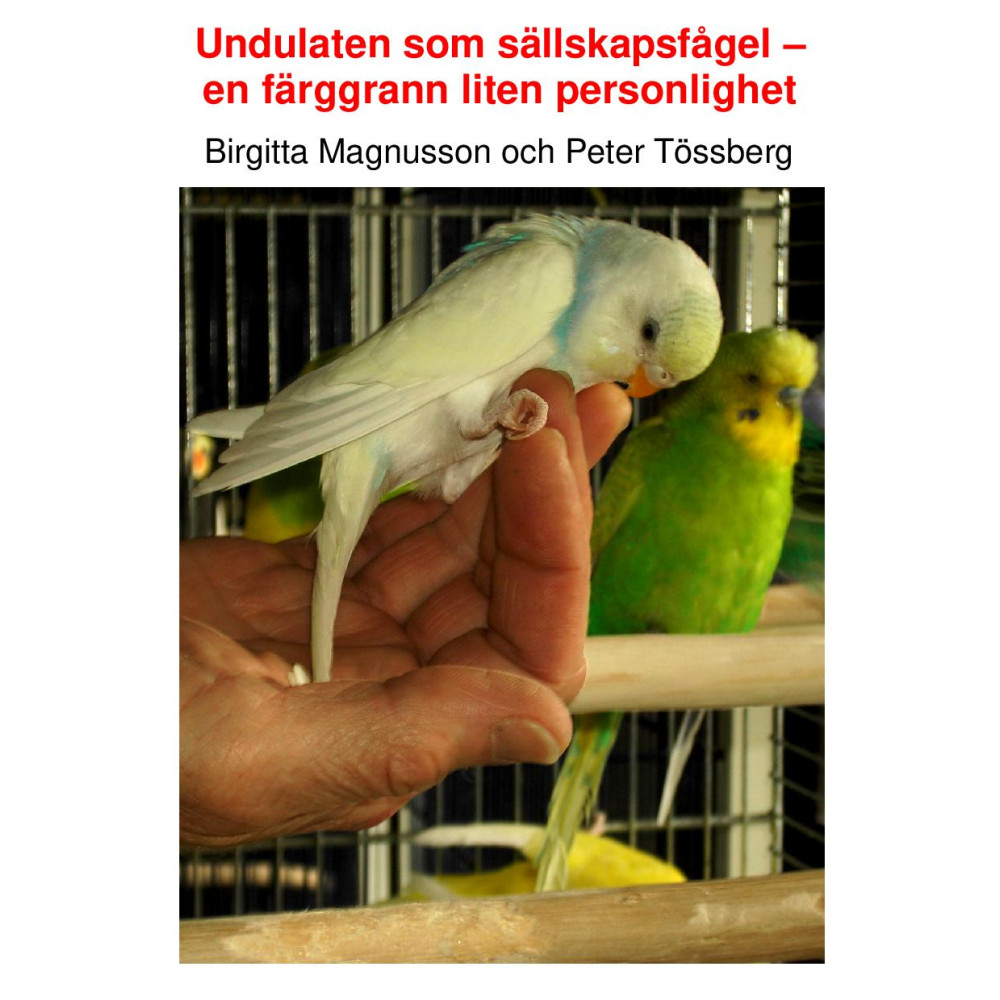 Produktbild för Undulaten som sällskapsfågel : en färggrann liten personlighet (inbunden)