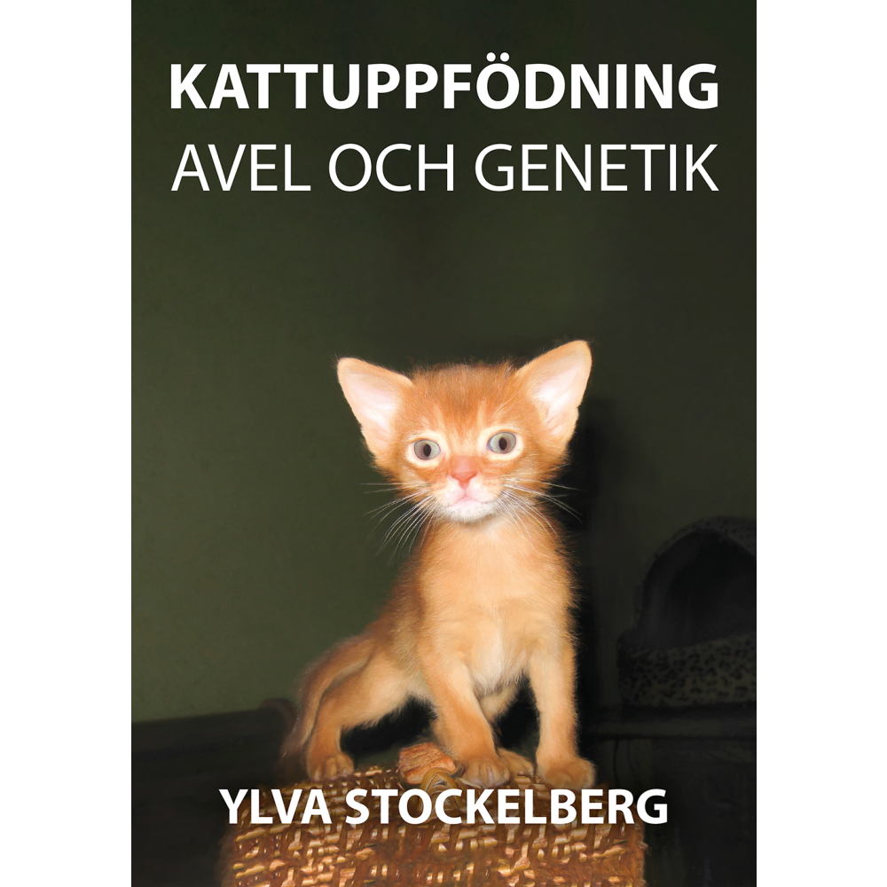 Produktbild för Kattuppfödning avel och genetik (häftad)