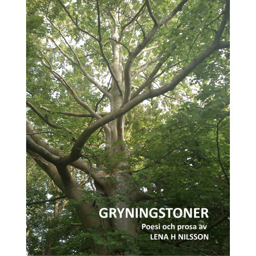 Lena H Nilsson Gryningstoner : poesi och prosa (häftad)