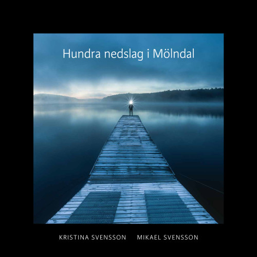 Kristina Svensson Hundra nedslag i Mölndal (inbunden)