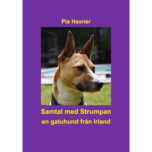 Pia Haxner Samtal med Strumpan : en gatuhund från Irland (inbunden)