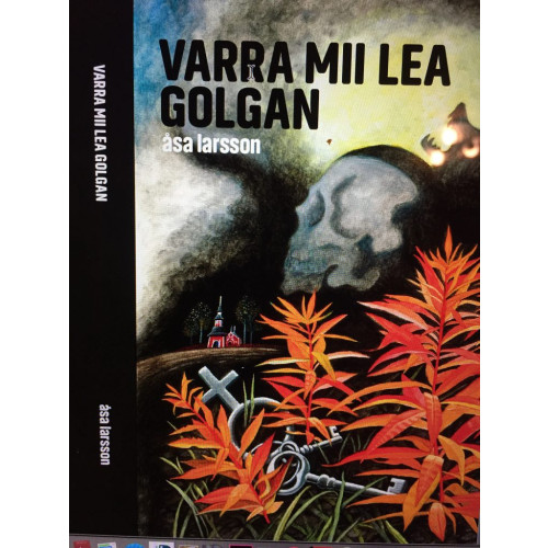 Ravda Förlaget AB Varra mii lea golgan (bok, kartonnage, sme)