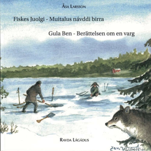 Ravda Förlaget AB Fiskes Juolgi  Muitalus návddi birra - Gula ben Berättelsen om en varg (pocket, sme)