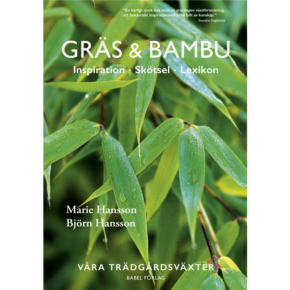 Produktbild för Gräs & bambu : inspiration - skötsel - lexikon (inbunden)