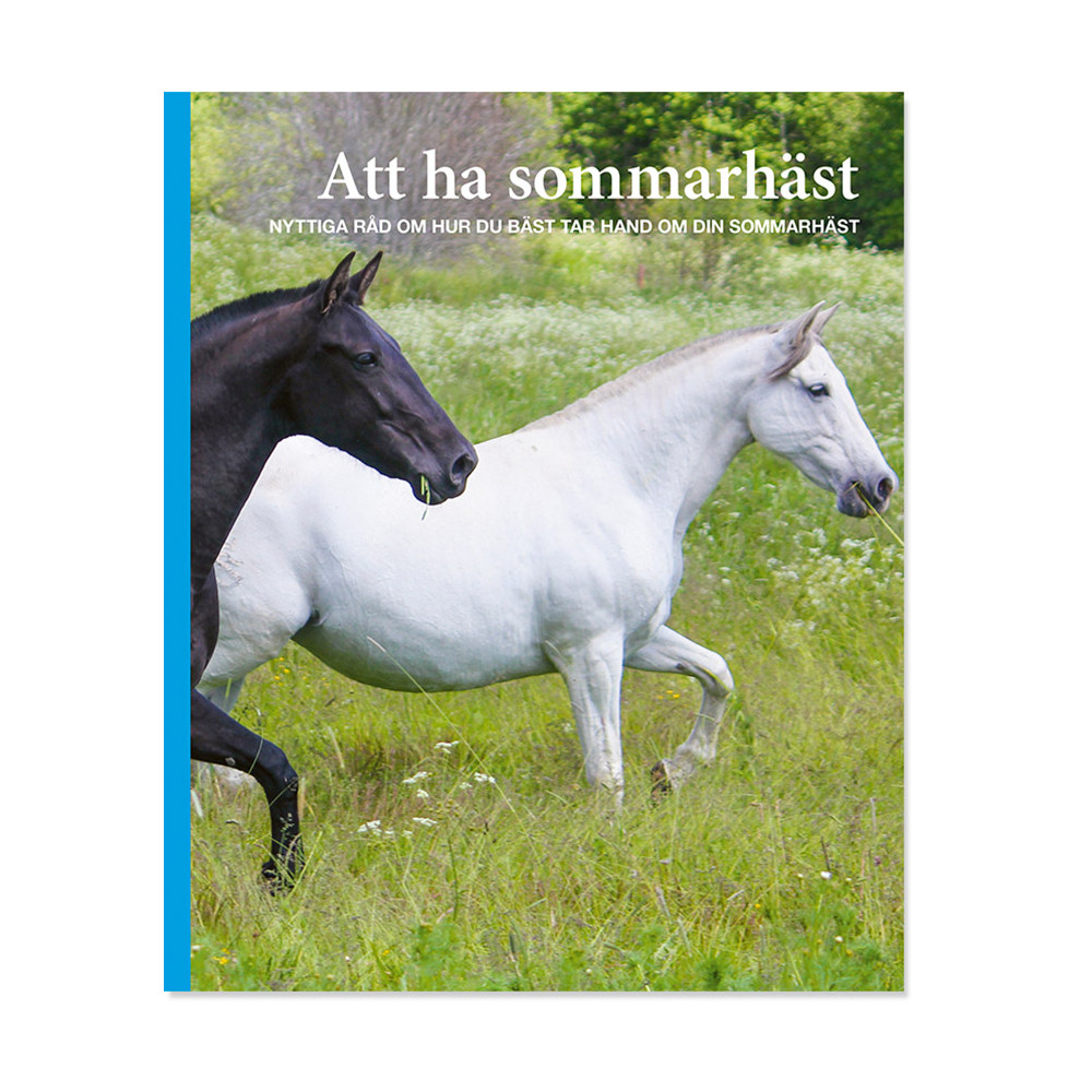 Produktbild för Att ha sommarhäst (häftad)