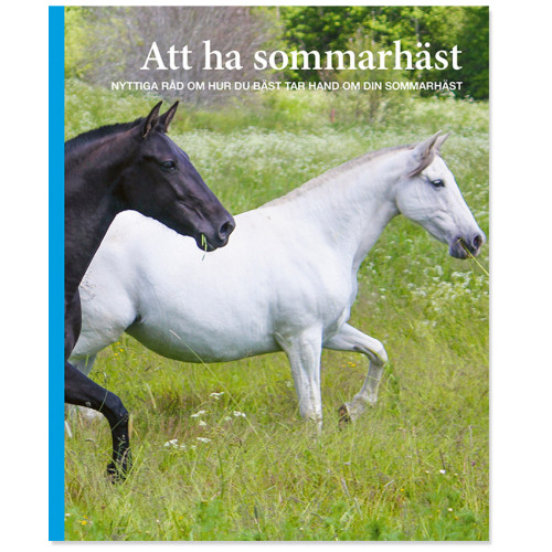 Ann Svärding Att ha sommarhäst (häftad)