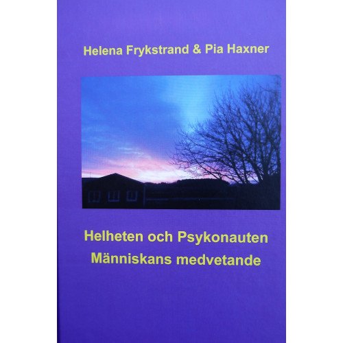 Helena Frykstrand Helheten och Psykonauten : människans medvetande (inbunden)