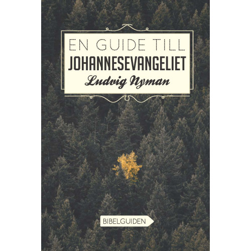 Ludvig Nyman En guide till Johannesevangeliet (bok, danskt band)