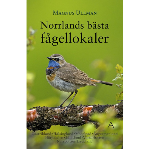 Magnus Ullman Norrlands bästa fågellokaler (bok, flexband)