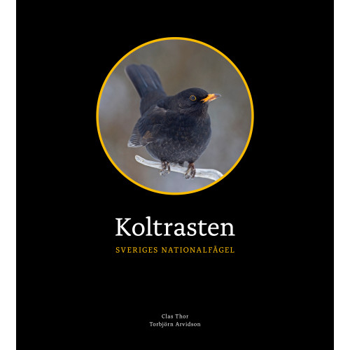 Clas Thor Koltrasten : Sveriges Nationalfågel (inbunden)