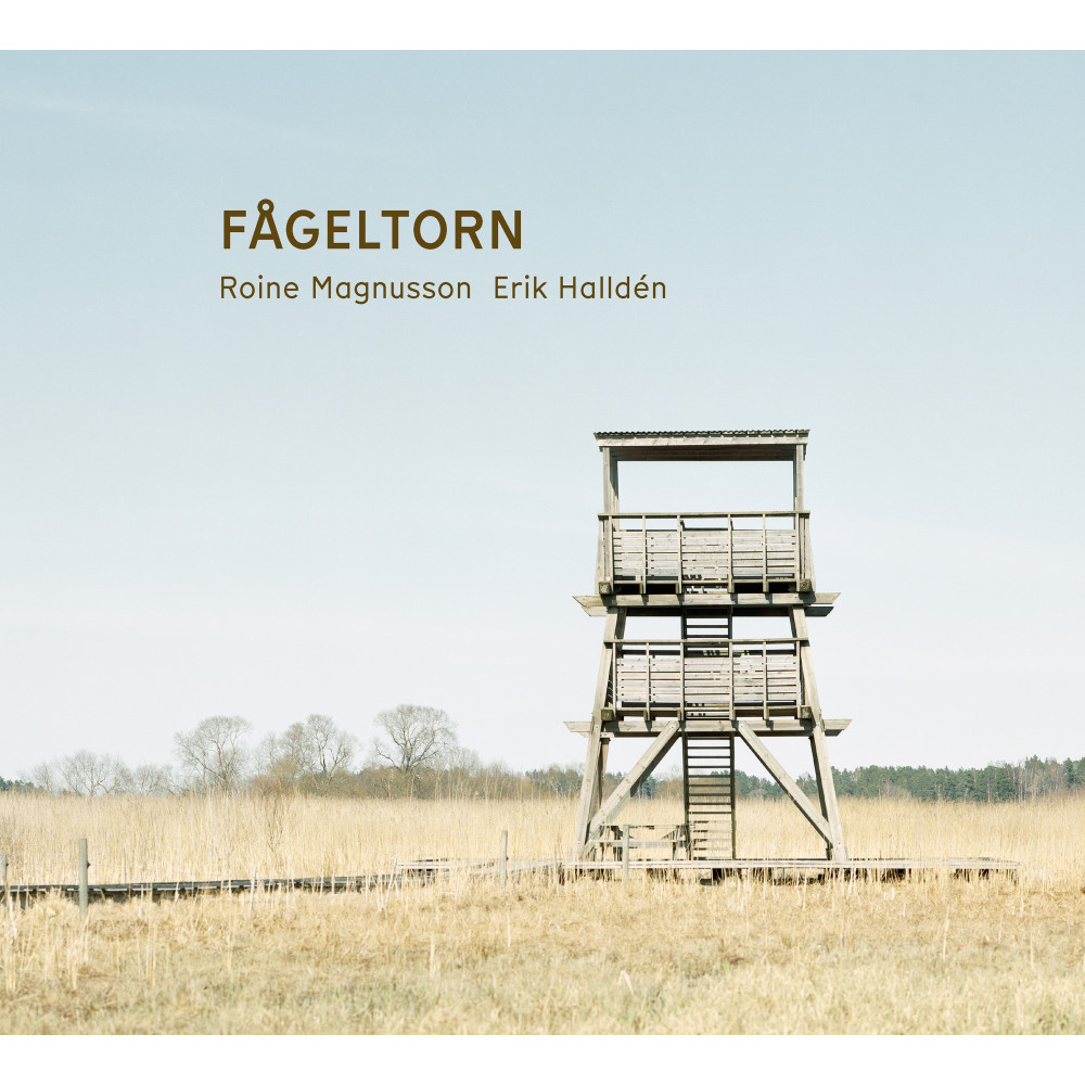 Produktbild för Fågeltorn (inbunden)