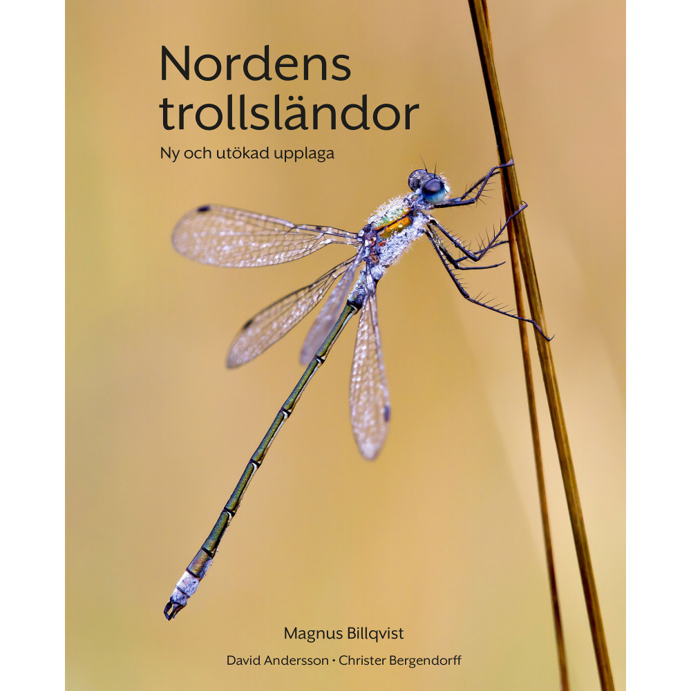 Produktbild för Nordens trollsländor : ny och utökad upplaga (bok, flexband)