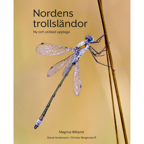 Magnus Billqvist Nordens trollsländor : ny och utökad upplaga (bok, flexband)