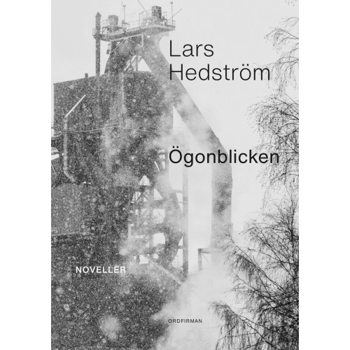 Lars Hedström Ögonblicken (bok, danskt band)
