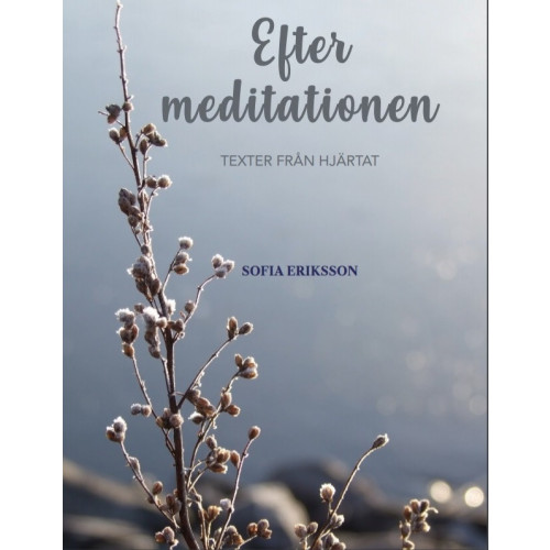 Sofia Eriksson Efter meditationen: texter från hjärtat (bok, kartonnage)