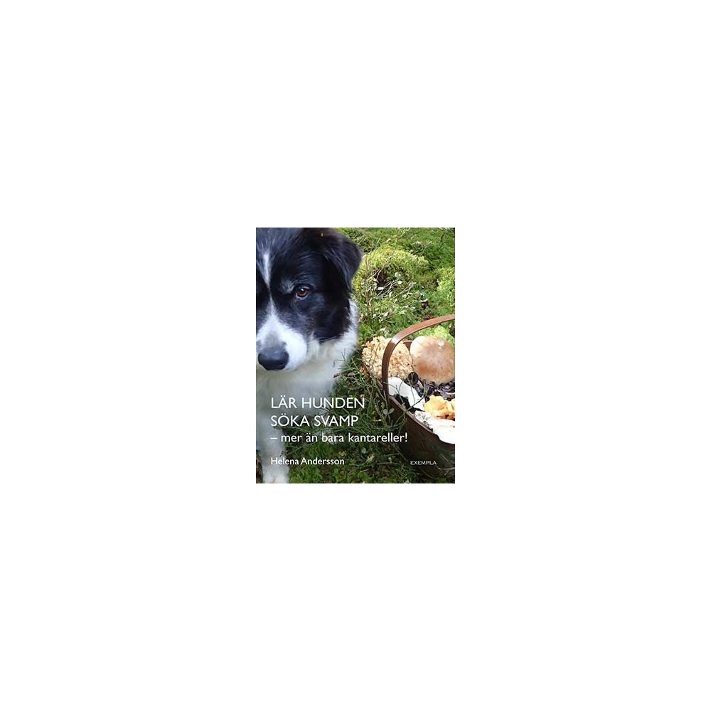 Produktbild för Lär hunden söka svamp - mer än bara kantareller! (bok, danskt band)