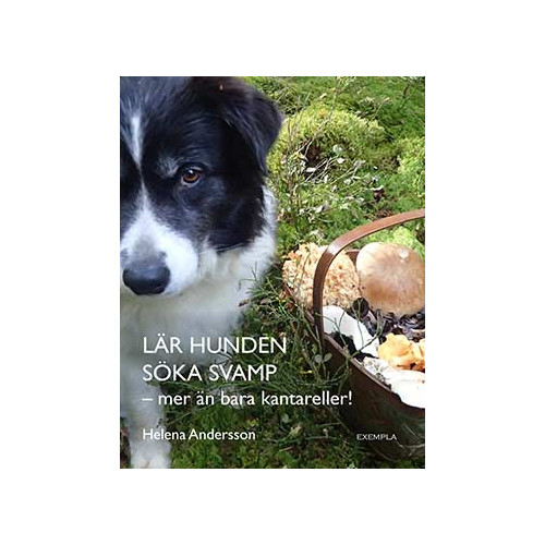 Helena Andersson Lär hunden söka svamp - mer än bara kantareller! (bok, danskt band)