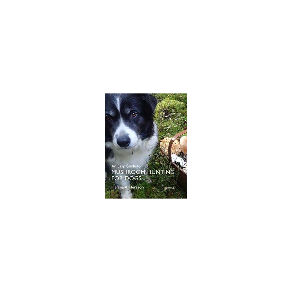 Produktbild för An easy guide to mushroom hunting for dogs (häftad, eng)